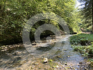 Small mountain river GerovÃÂica, Zamost - Region of Gorski kotar, Croatia / Mala gorska rijeka GerovÃÂica photo